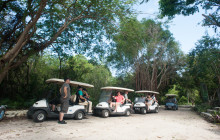 LPC Tours by IRB Turismo2