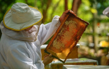 LPC Tours by IRB Turismo3