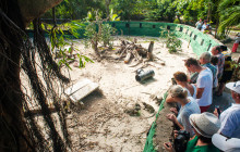 LPC Tours by IRB Turismo4