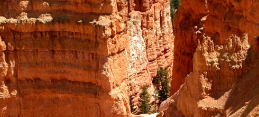 Bryce Canyon & Zion Day Tour From Las Vegas - Private