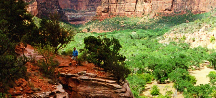 Zion National Park Tour From Las Vegas - Private
