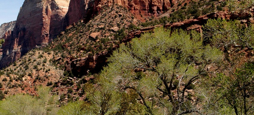 Zion National Park Tour From Las Vegas - Private