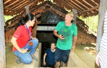 Cu Chi Experience from Ho Chi Minh City - Private and Join-in Options