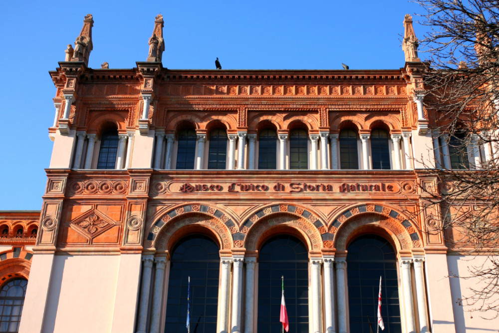 Milan: Museum of Natural History and Digital Audio