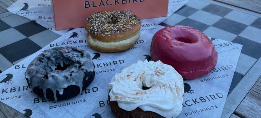 Boston: Harvard Square Historic Donut Tour