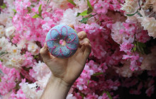 Underground Donut Tour4