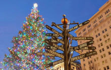 Underground Donut Tour2