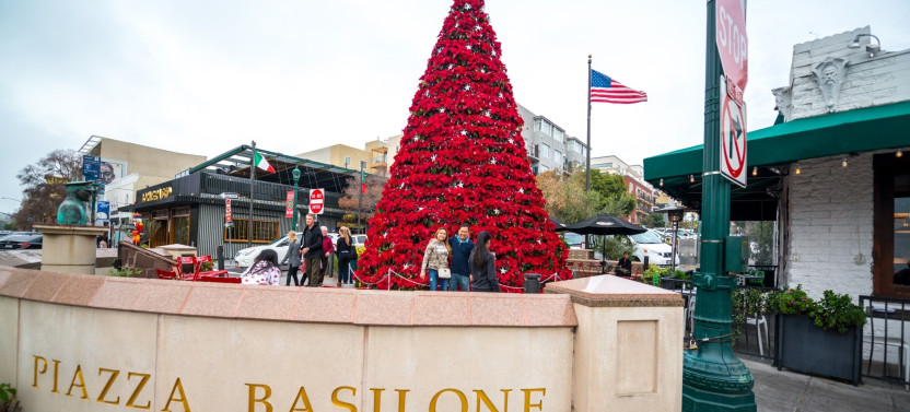 San Diego & Little Italy Holiday Donut Tour