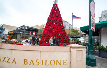 Underground Donut Tour2