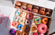 Underground Donut Tour1