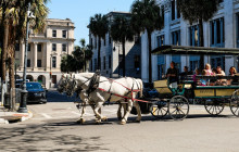 Underground Donut Tour3