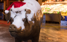 Underground Donut Tour4