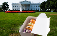 Underground Donut Tour1