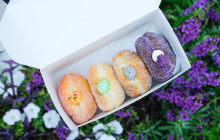 Underground Donut Tour7