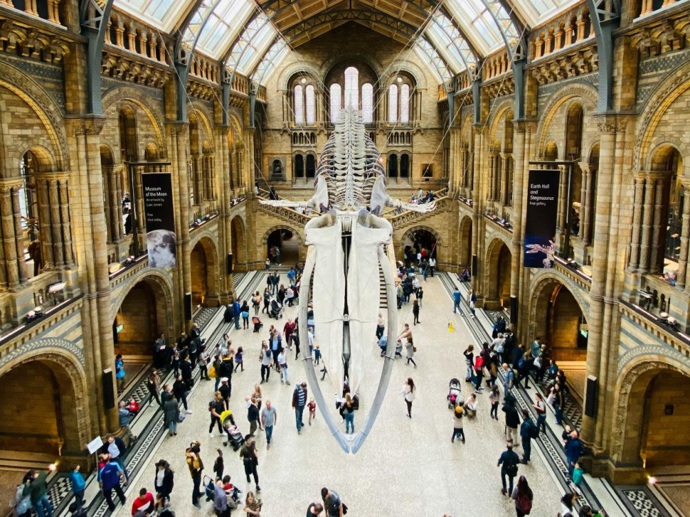 The Natural History Museum of London: Private Half-Day Tour