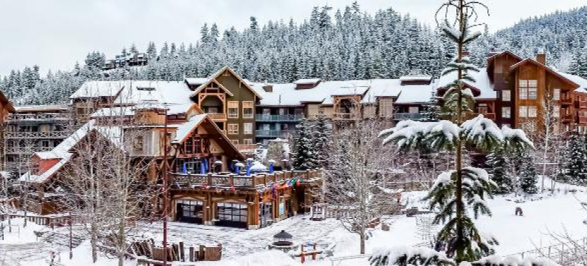 Whistler, Shannon Falls and Squamish: Private Tour from Vancouver