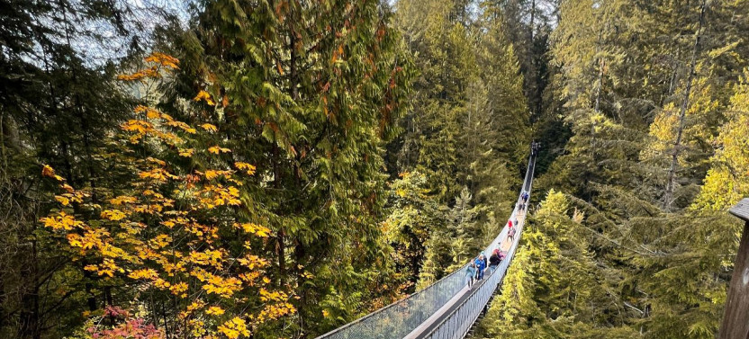 Capilano Bridge & Grouse Mountain: Private 5-Hour Vancouver Tour