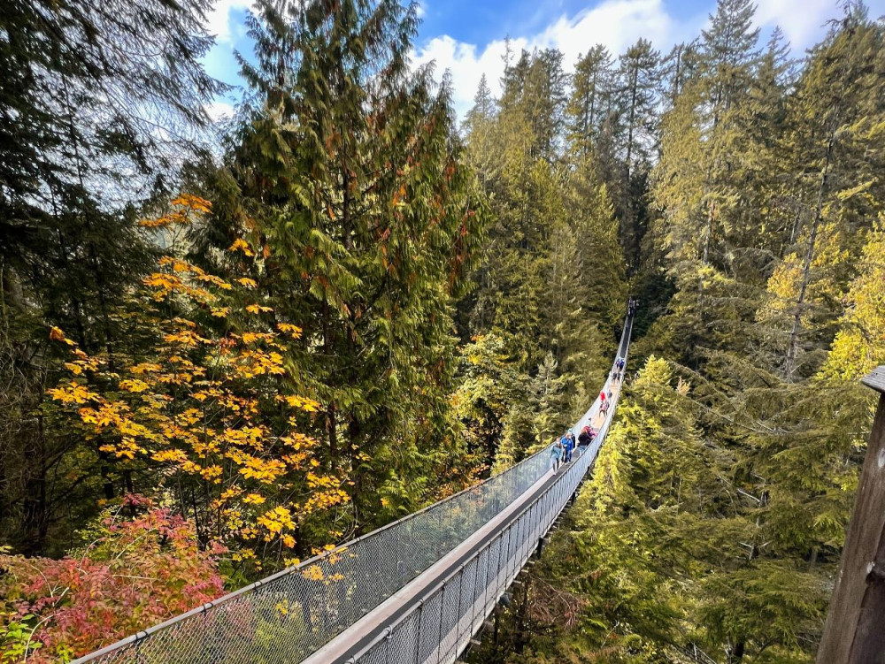 Capilano Bridge & Grouse Mountain: Private 5-Hour Vancouver Tour