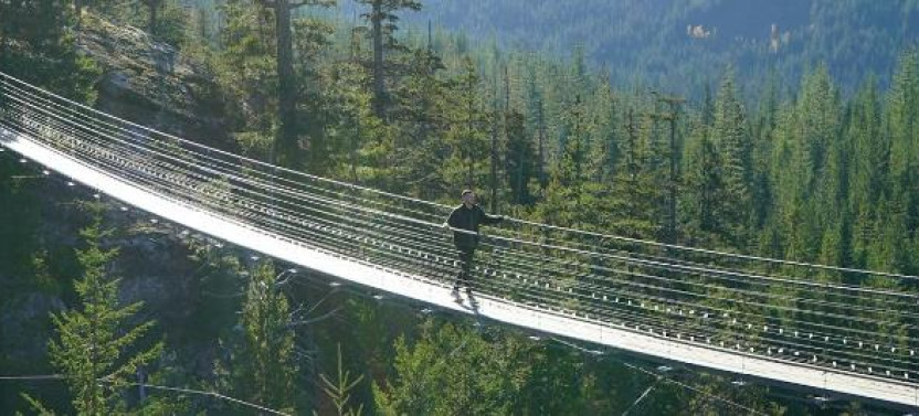 Capilano Bridge & Grouse Mountain: Private 5-Hour Vancouver Tour