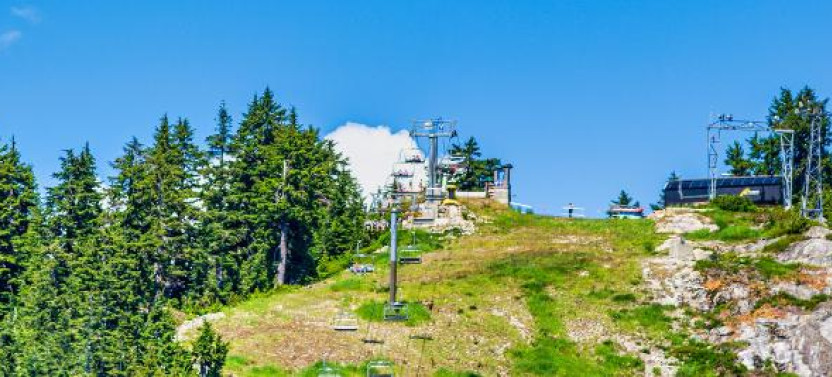 Capilano Bridge & Grouse Mountain: Private 5-Hour Vancouver Tour