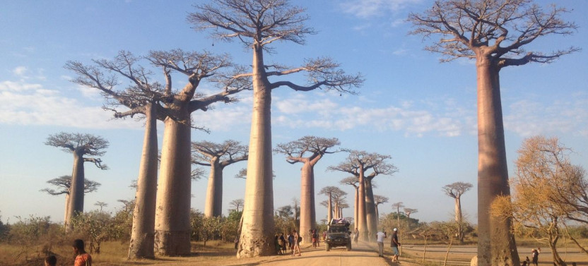 Madagascar 9 Days Baobabs and Lemurs Tour