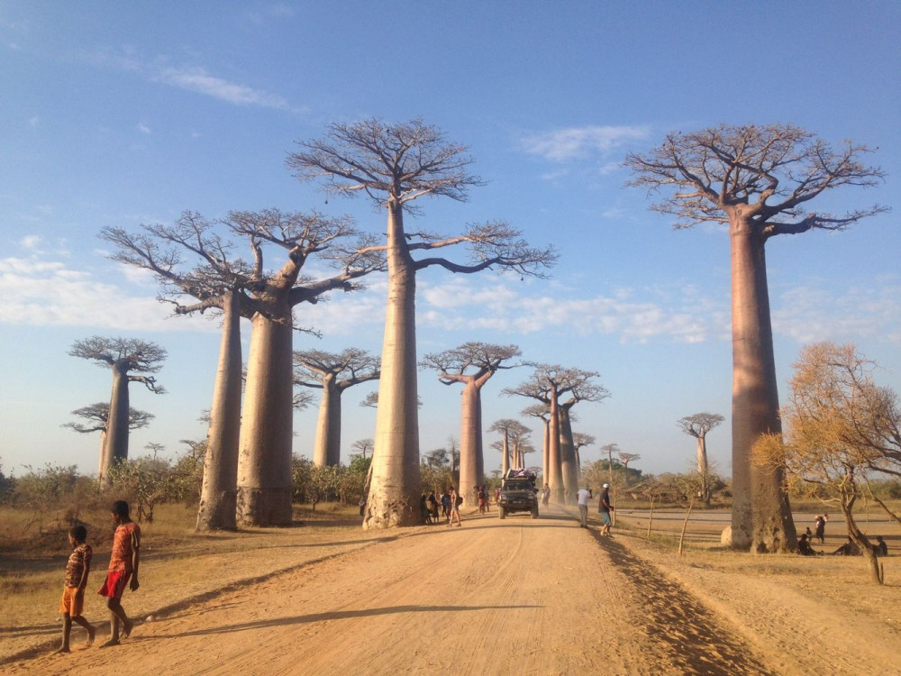 Madagascar 9 Days Baobabs and Lemurs Tour