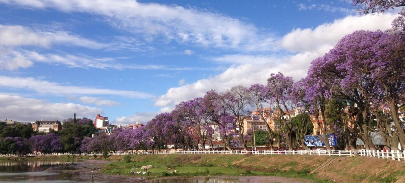 Madagascar 9 Days Baobabs and Lemurs Tour