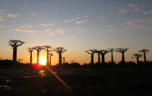 FOSA TRAVEL9