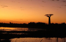 FOSA TRAVEL11