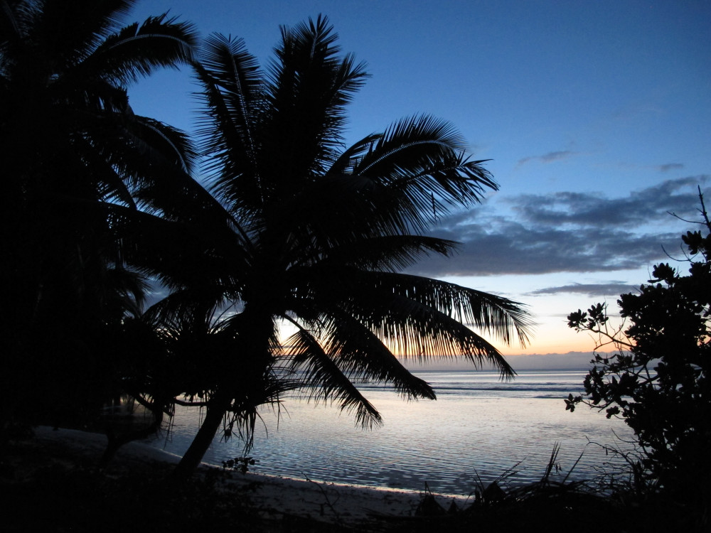 FOSA TRAVEL