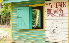 Mayflower Bocawina National Park