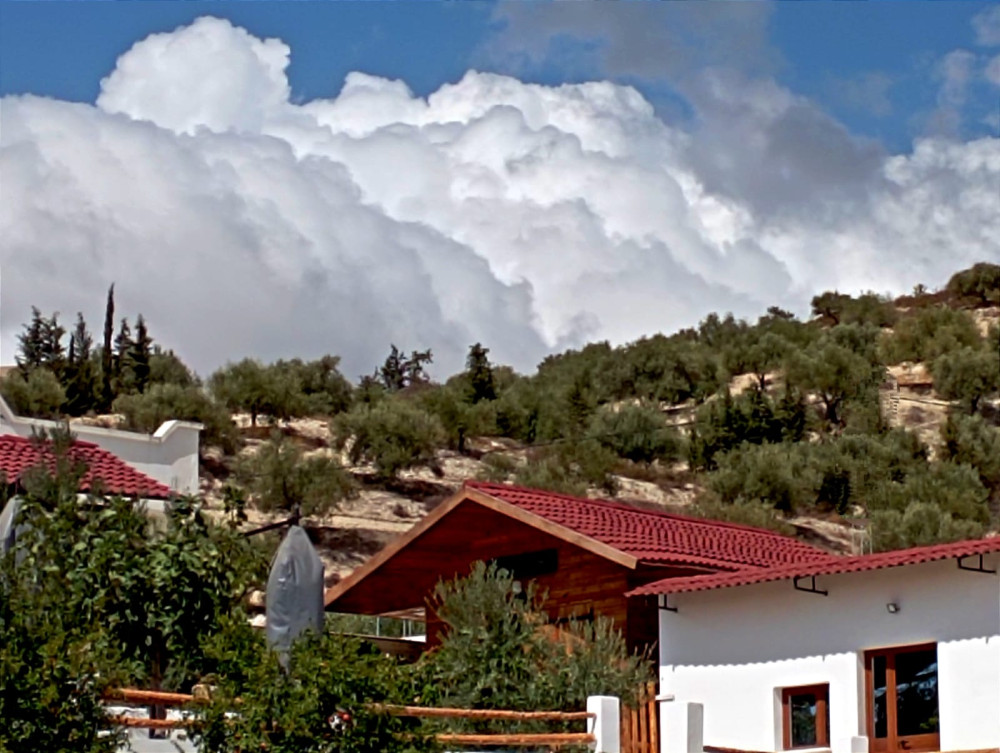 Archaeological and Culinary Treasure with Olive Oil Tasting