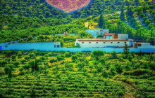 Wonderful Tunisia6