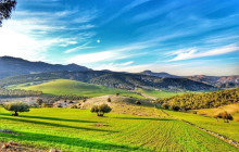 Wonderful Tunisia25