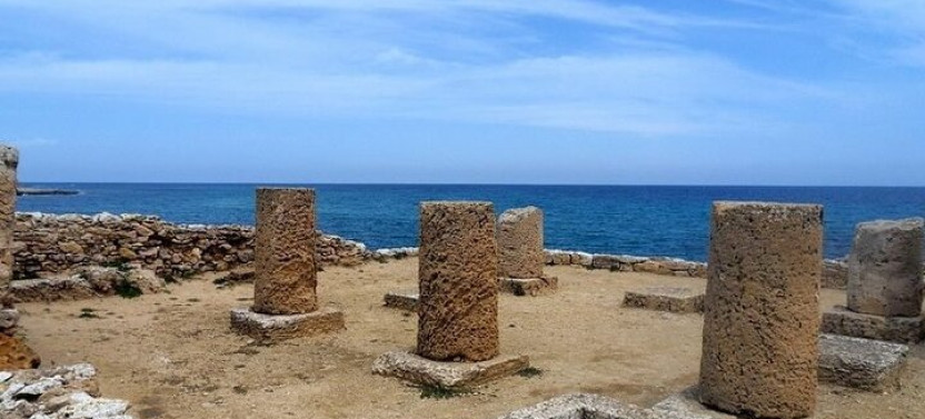 Private Day Tour to Cap Bon