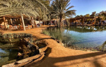 Wonderful Tunisia28