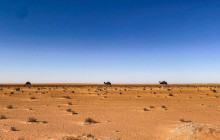 Wonderful Tunisia29