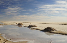 Wonderful Tunisia33