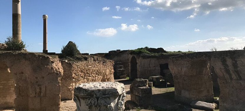 From Hammamet or Sousse: Carthage, Sidi Bou Said and Camel Tour