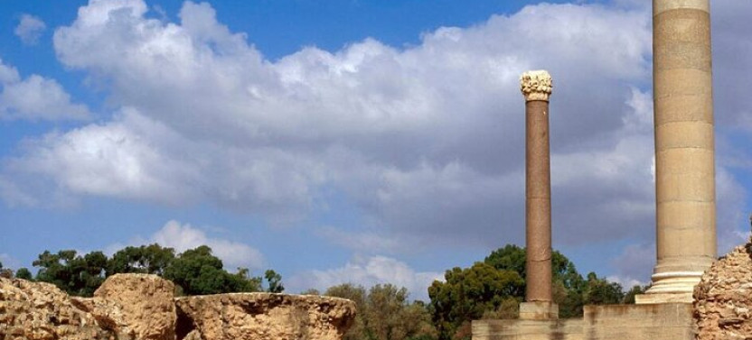 From Hammamet or Sousse: Carthage, Sidi Bou Said and Camel Tour