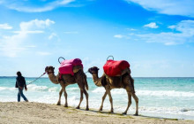 Wonderful Tunisia1