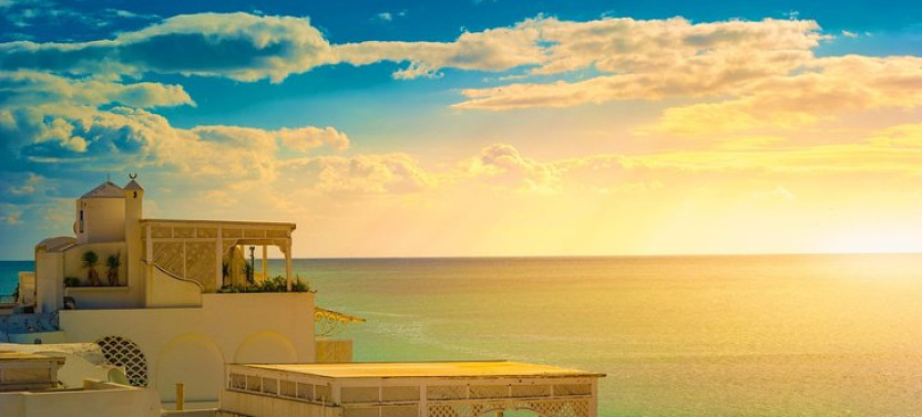 From Tunis or Hammamet: Private Tour of Nabeul & Hammamet
