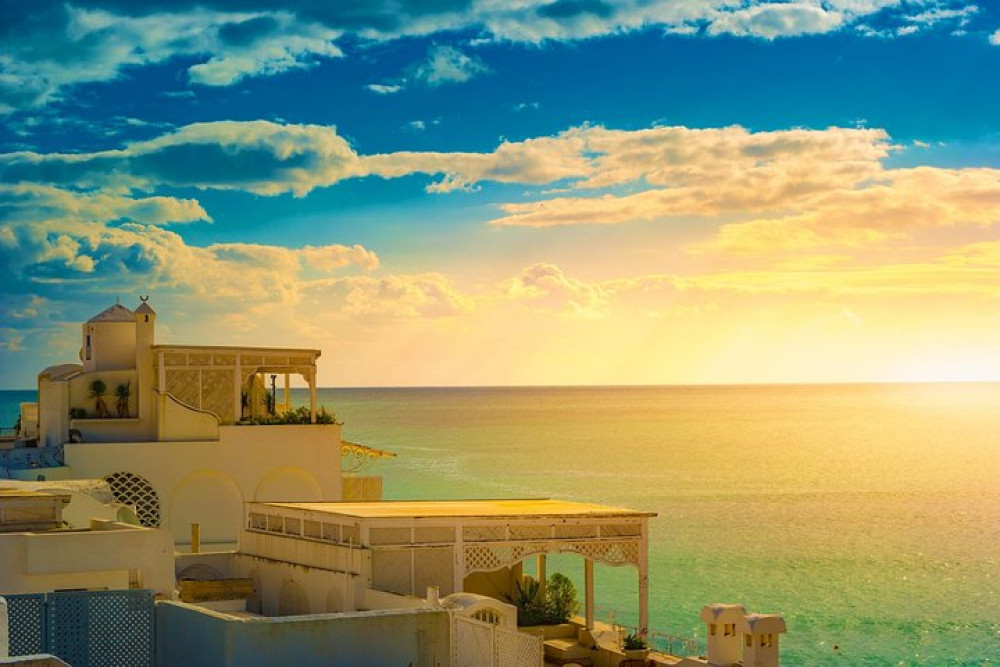 From Tunis or Hammamet: Private Tour of Nabeul & Hammamet