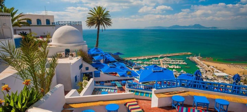 Private Tour Bardo Museum- The Ruins of Carthage- Village of Sidi Bou Said