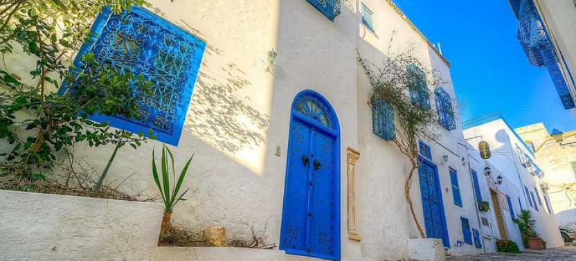 Private Tour Bardo Museum- The Ruins of Carthage- Village of Sidi Bou Said