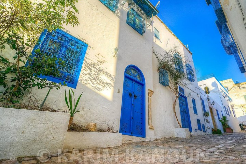 Private Tour Bardo Museum- The Ruins of Carthage- Village of Sidi Bou Said