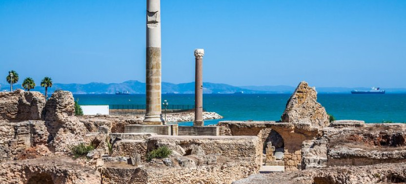 Private Tour Bardo Museum- The Ruins of Carthage- Village of Sidi Bou Said