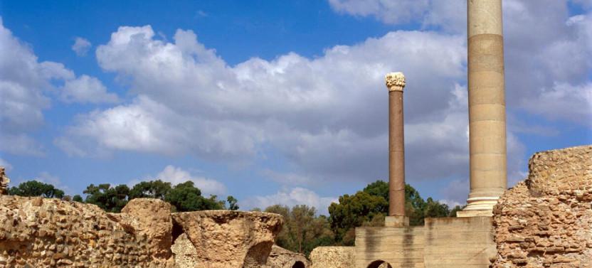 From Tunis: Carthage- Sidi Bou Said- Camel Tour