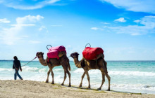 Wonderful Tunisia1