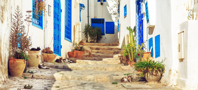 From Tunis: Carthage- Sidi Bou Said- Camel Tour